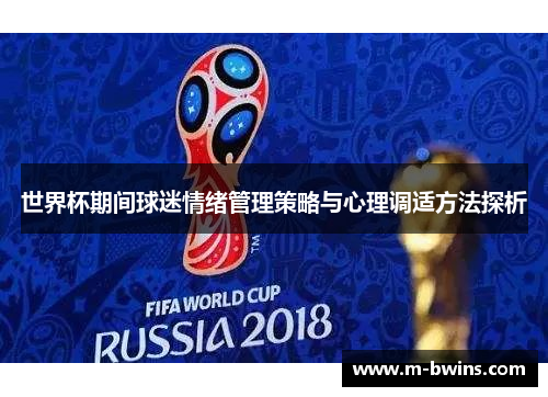 世界杯期间球迷情绪管理策略与心理调适方法探析