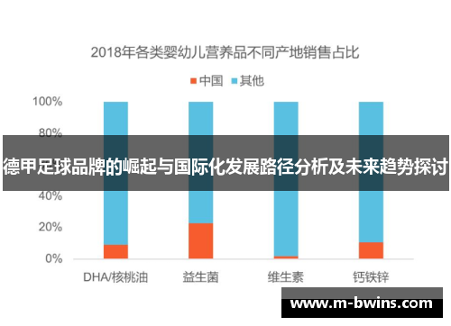 德甲足球品牌的崛起与国际化发展路径分析及未来趋势探讨